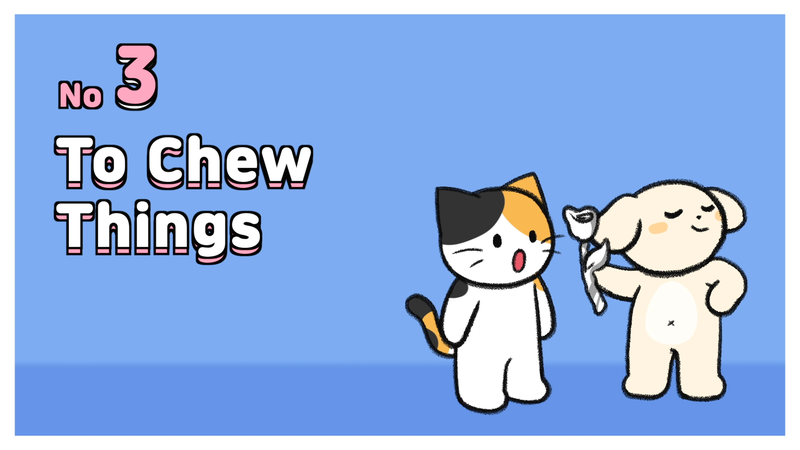 Cat_behaviors_dangerous_3_