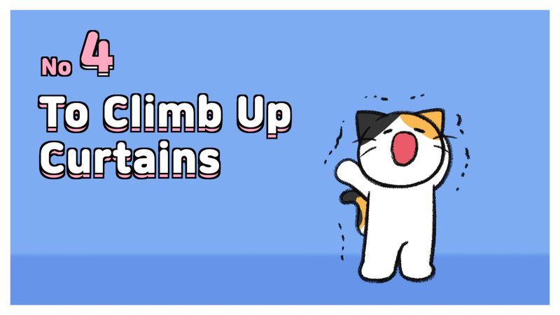 Cat_behaviors_dangerous_4_