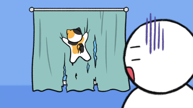 Cat_behaviors_dangerous_4_1