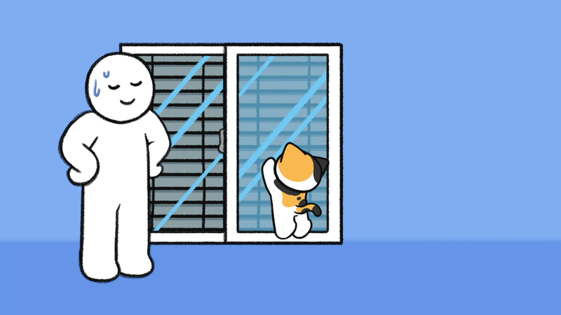 Cat_behaviors_dangerous_4_2