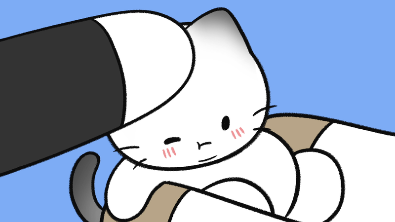 Cat_belly_flap_2_3_2