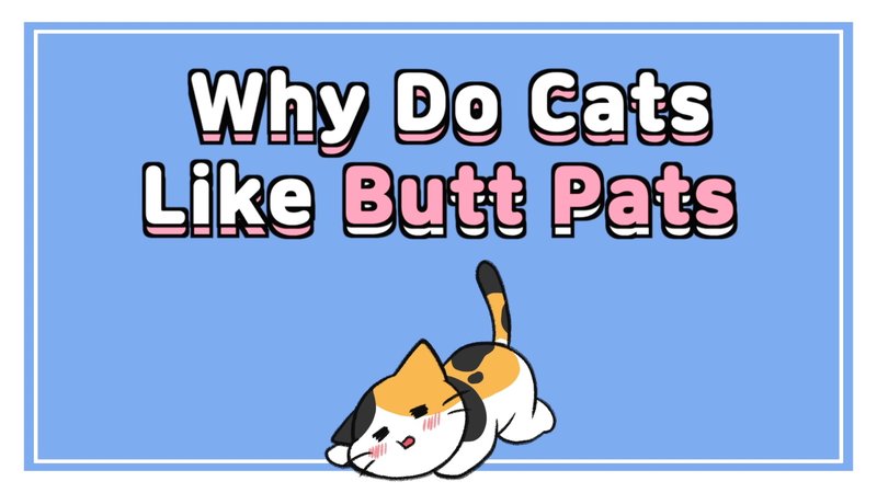 Cat_butt_pats_0_