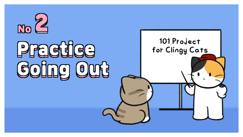 Cat_clining_5_