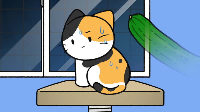 Cat_cucumber_2_1