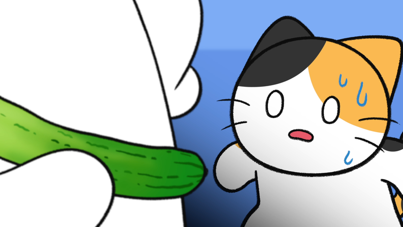 Cat_cucumber_3_1