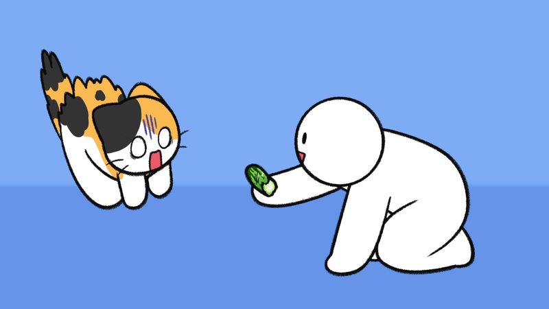 Cat_cucumber_4_1