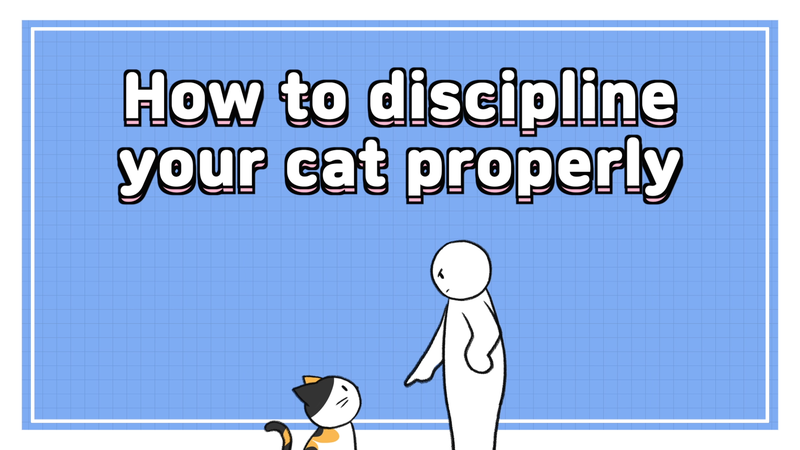 Cat_discipline_0_