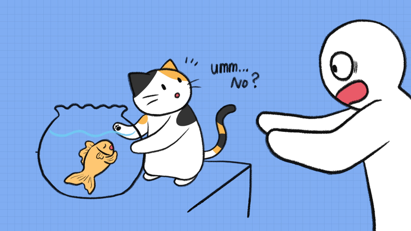 Cat_discipline_1_2