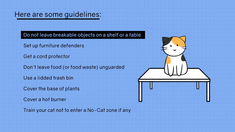 Cat_discipline_3