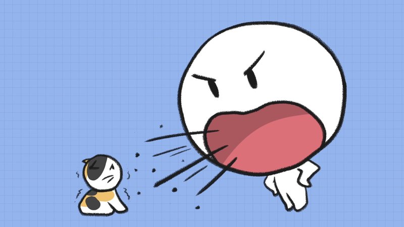 Cat_discipline_3_1