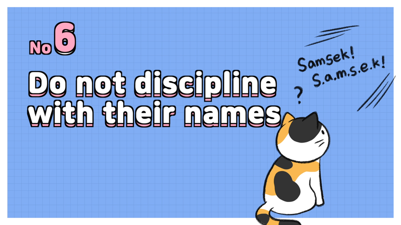 Cat_discipline_6_