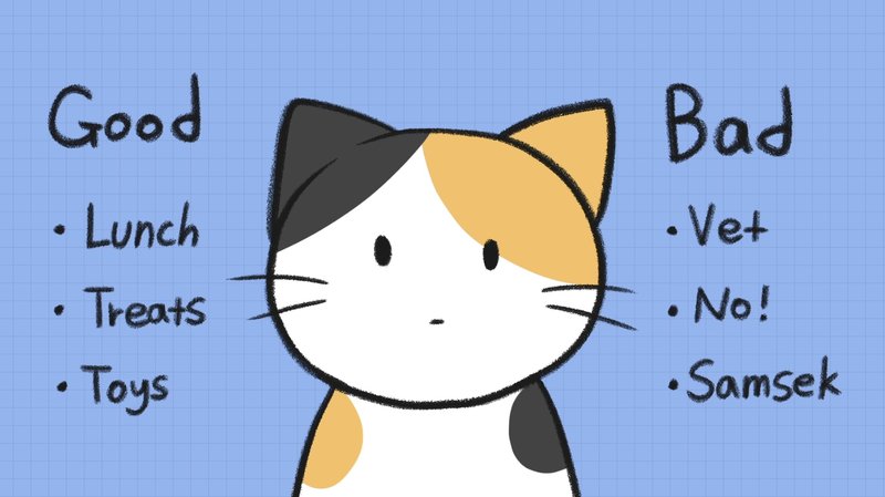 Cat_discipline_6_2
