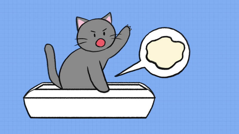 Cat_disease_2_2