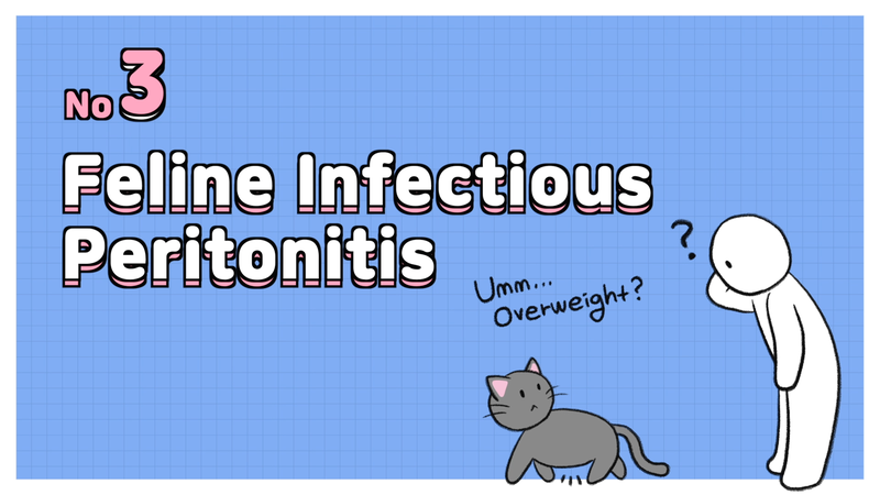 Cat_disease_3_