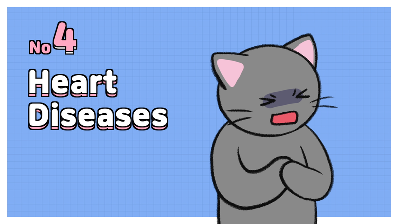 Cat_disease_4_