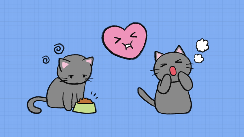 Cat_disease_4_1