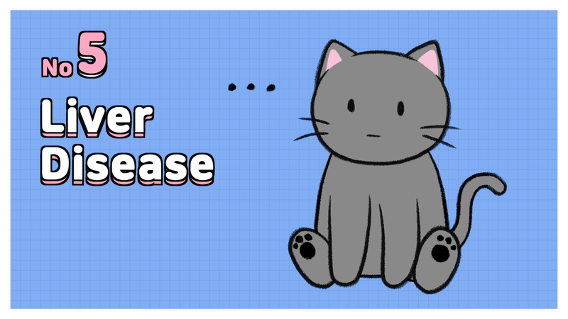 Cat_disease_5_