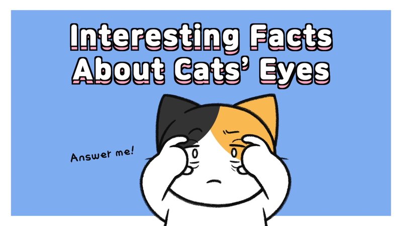 Cat_eyes_0_