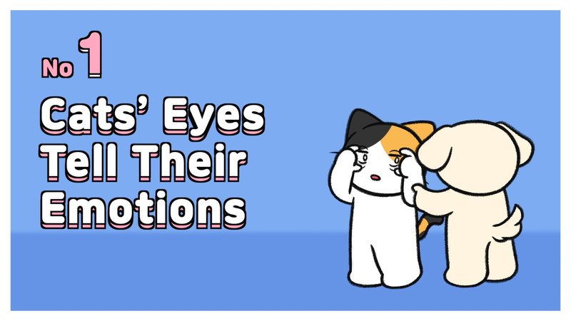 Cat_eyes_1_