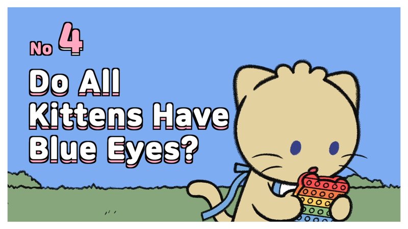 Cat_eyes_4_
