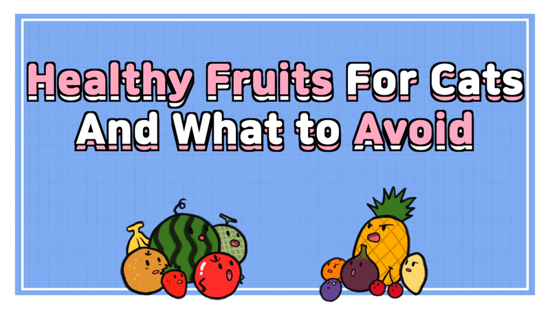 Cat_fruits_0_