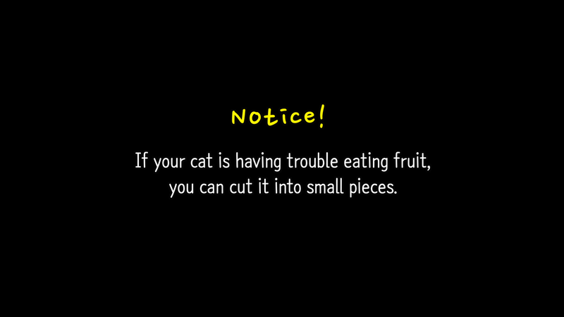 Cat_fruits_0_1