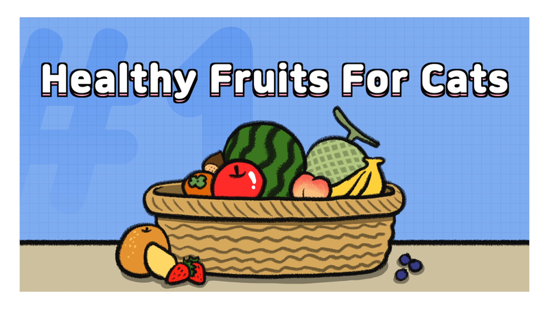 Cat_fruits_1_