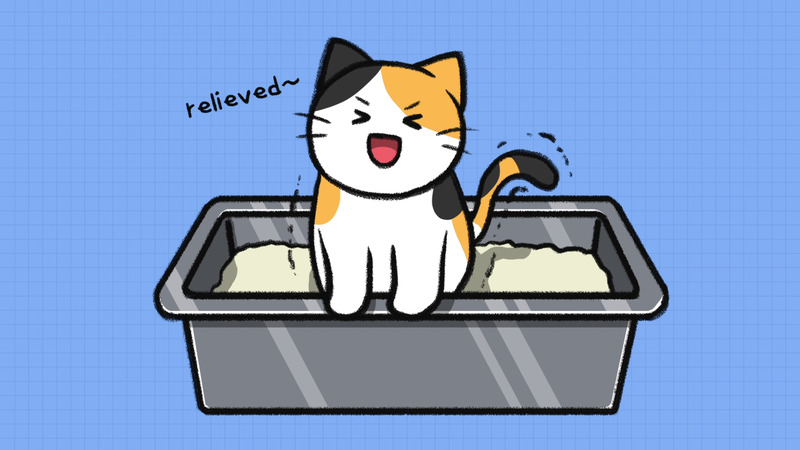 Cat_fruits_1_8_1