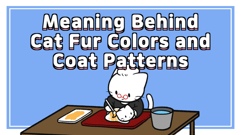 Cat_fur_color_0_