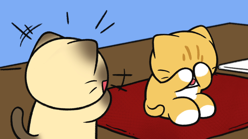 Cat_fur_color_3_2