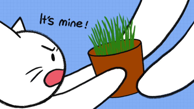 Cat_grass_1_2