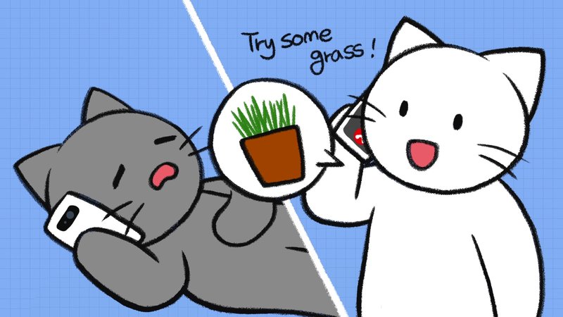 Cat_grass_2_1