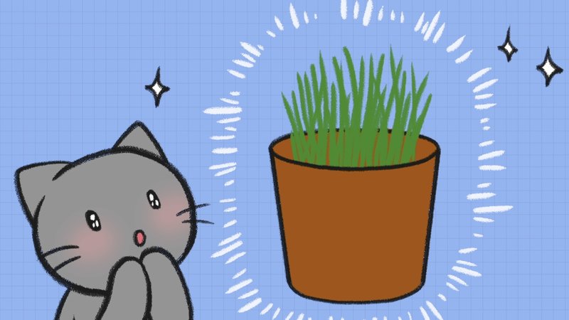 Cat_grass_2_2