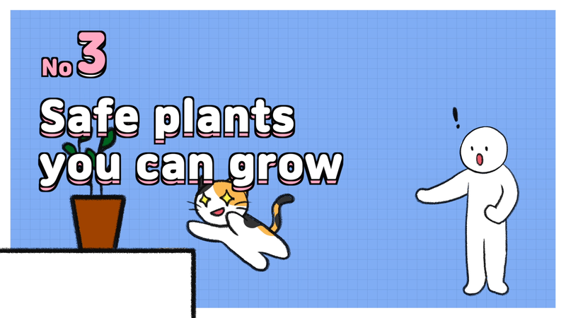 Cat_grass_3_