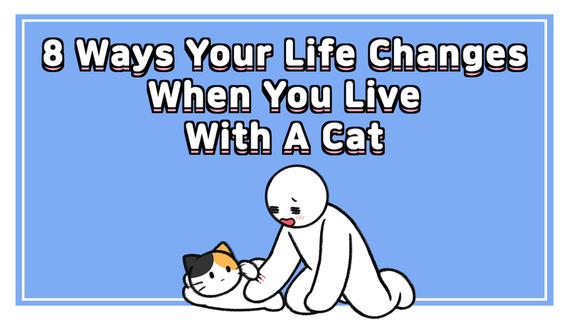 Cat_life_change_0_