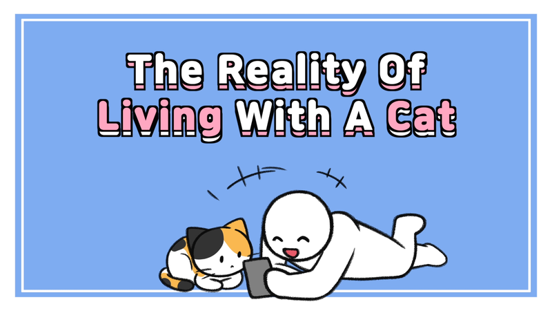 Cat_living_reality_0_
