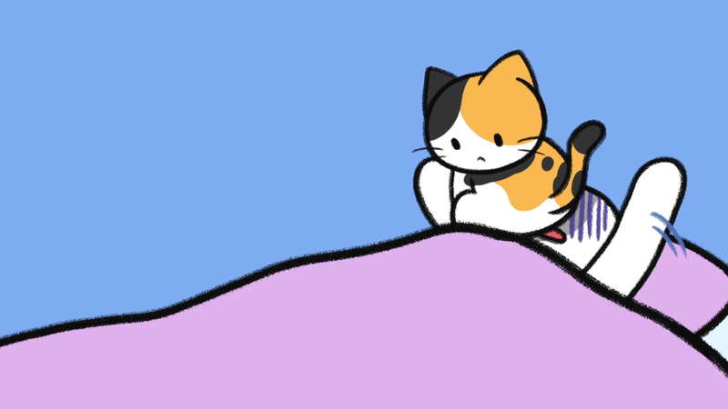 Cat_living_reality_1_1