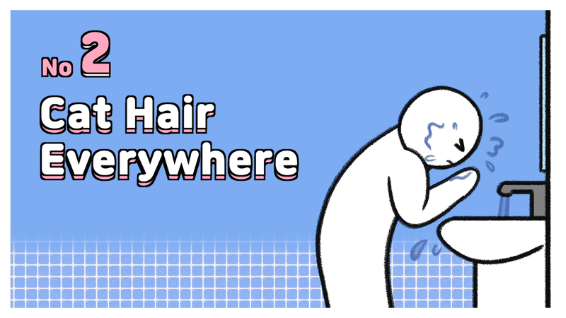 Cat_living_reality_2_