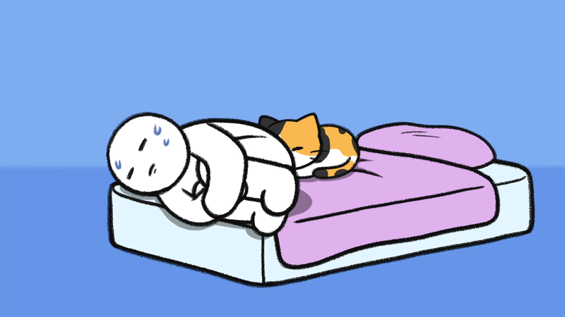 Cat_living_reality_3_2