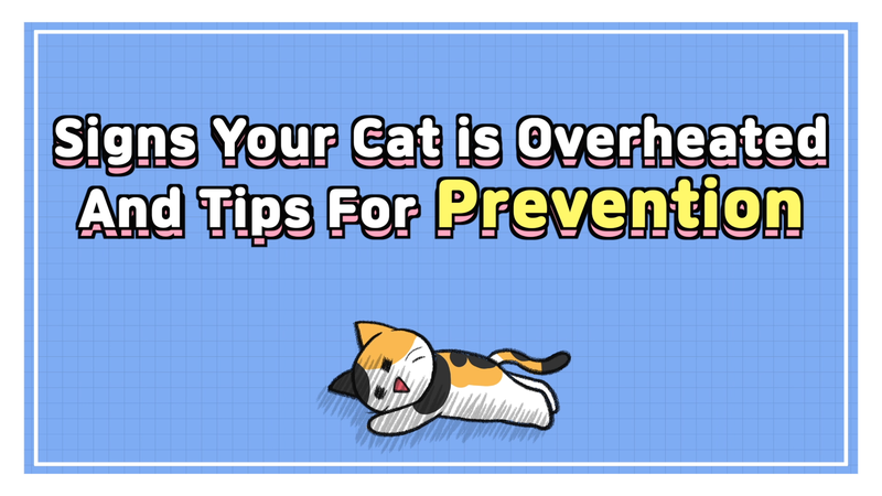 Cat_overheated_0