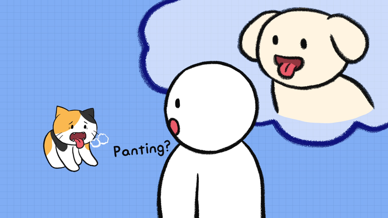 Cat_overheated_1_1