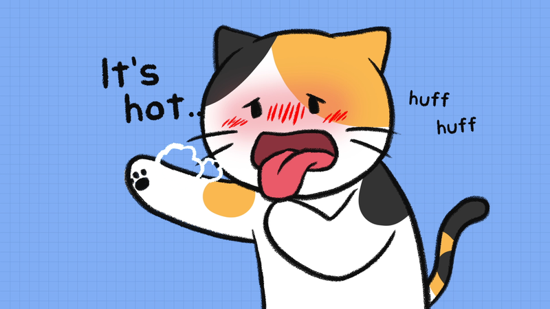 Cat_overheated_1_3