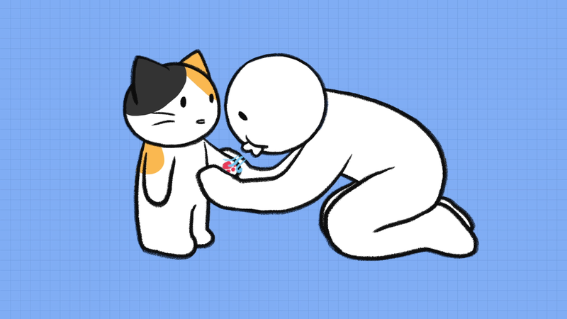 Cat_overheated_2_3