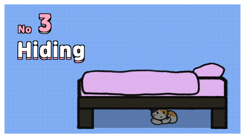 Cat_overheated_3_