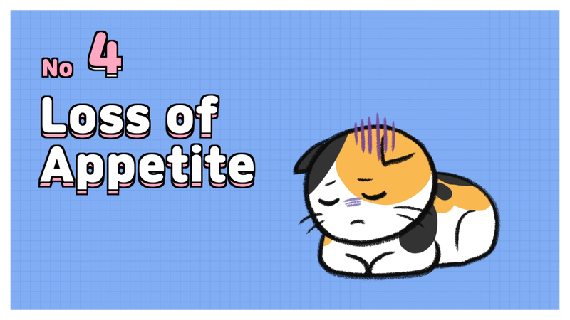 Cat_overheated_4_