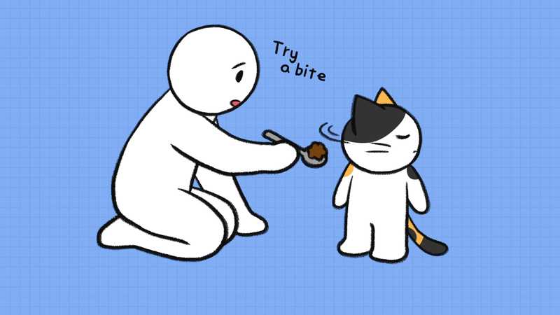 Cat_overheated_4_2