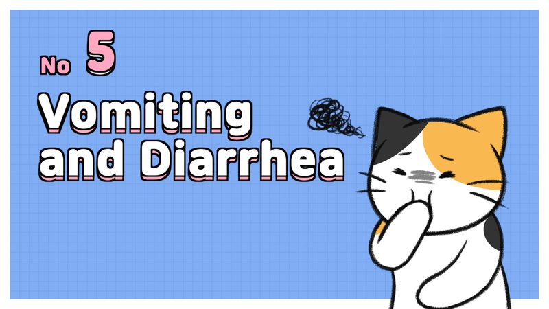 Cat_overheated_5_