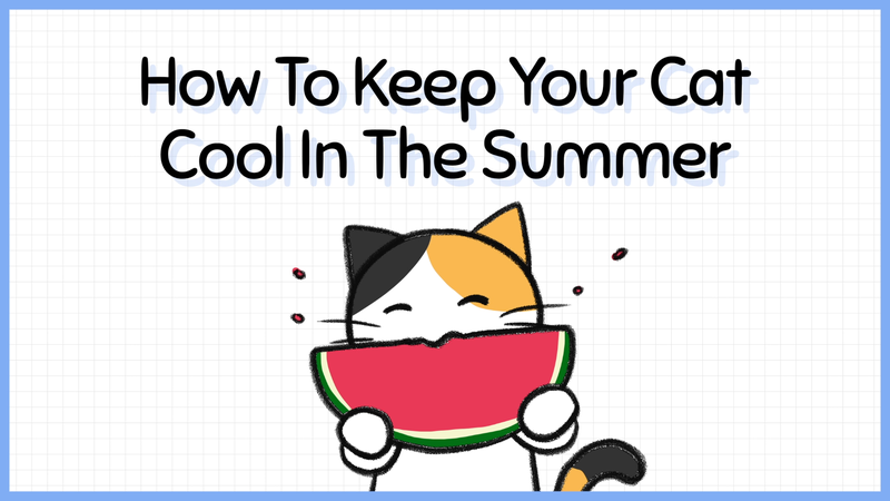 Cat_overheated_prevention_0