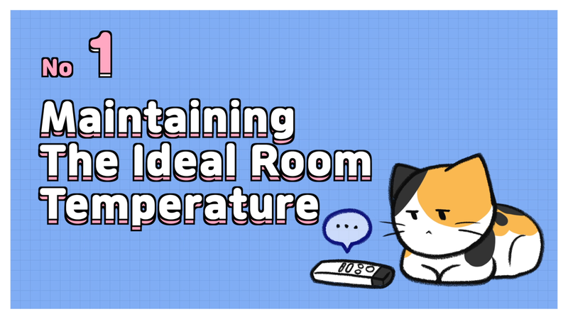Cat_overheated_prevention_1_