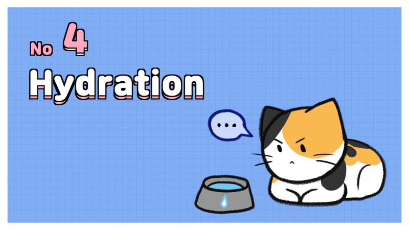 Cat_overheated_prevention_4_